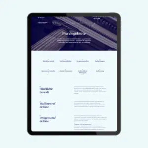 Strafverteidiger Vorlage